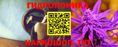 дурь Гусев