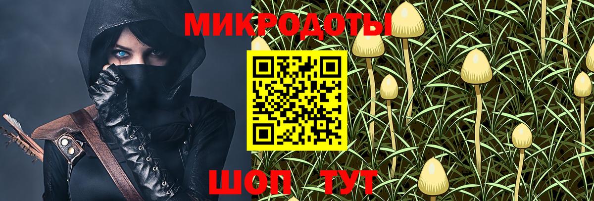 Галлюциногенные грибы MAGIC MUSHROOMS Армавир