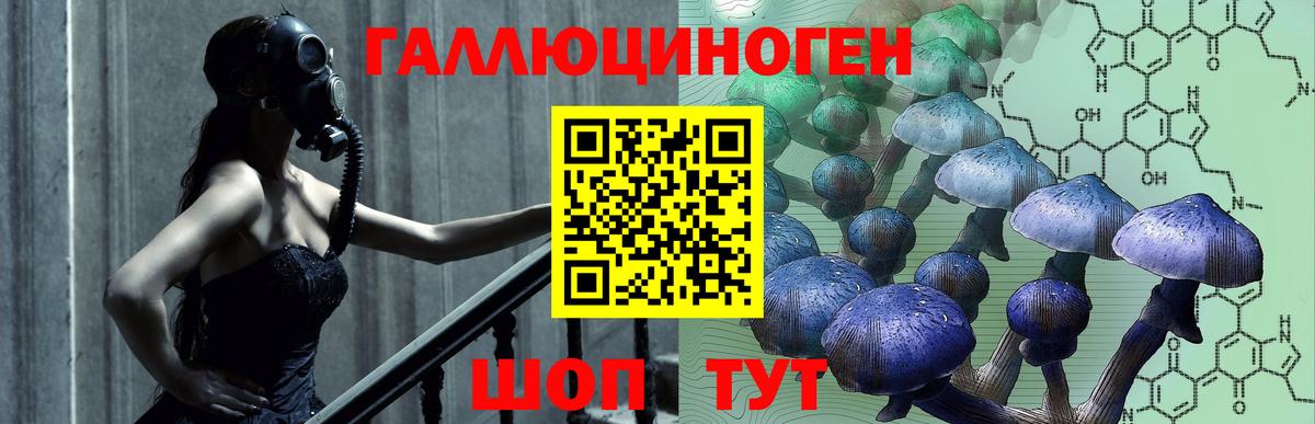 Галлюциногенные грибы прущие грибы  Вход с VPN  Армавир 